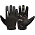картинка GYM TRAINING GLOVES T2 FULL от магазина Everlast в России