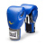 картинка Перчатки Everlast PU Pro Style Anti-MB Youth от магазина Everlast в России