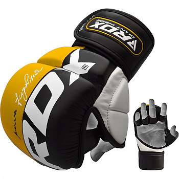 картинка GRAPPLING GLOVE REX T6 PLUS от магазина Everlast в России
