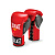 картинка Перчатки боевые Everlast Powerlock от магазина Everlast в России