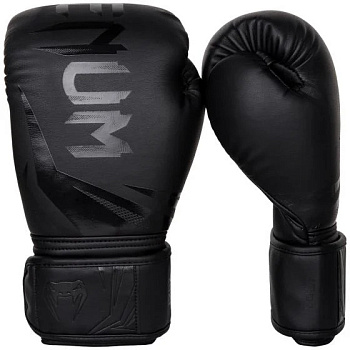 картинка Перчатки Challenger 3.0 от магазина Everlast в России