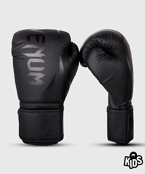 картинка Перчатки детские Challenger 2.0 от магазина Everlast в России